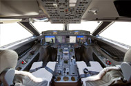 Pilot Control Systems
